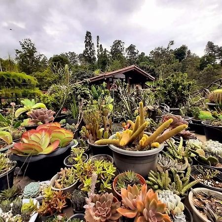 Ella Flower Garden Resort Dış mekan fotoğraf