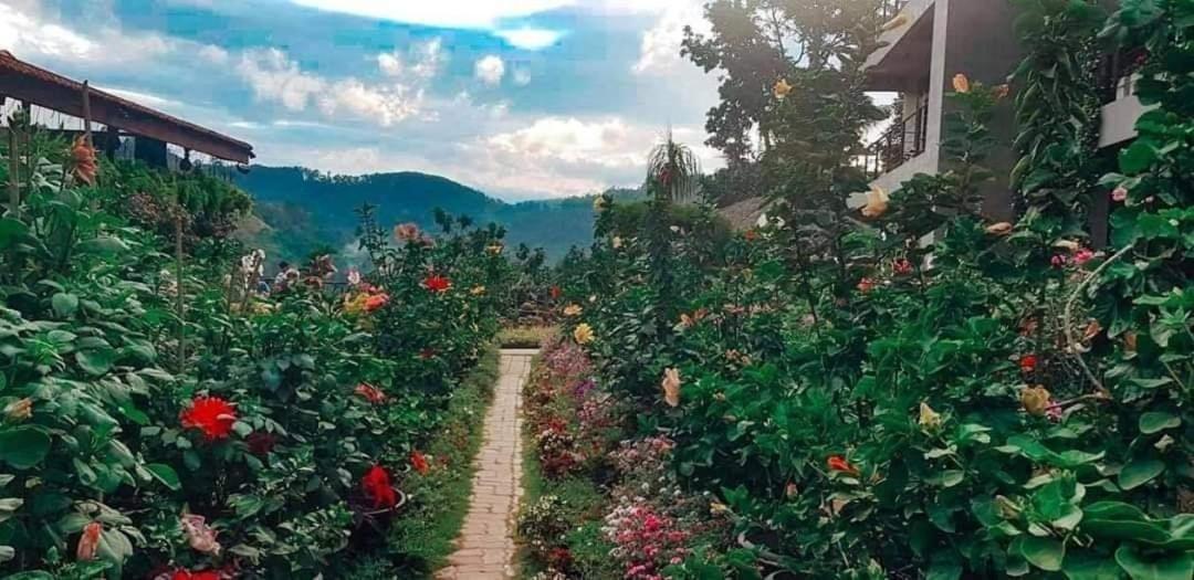 Ella Flower Garden Resort Dış mekan fotoğraf