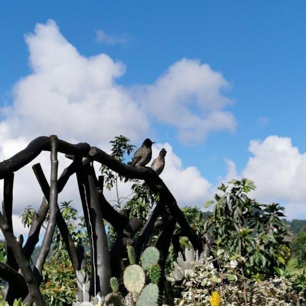 Ella Flower Garden Resort Dış mekan fotoğraf