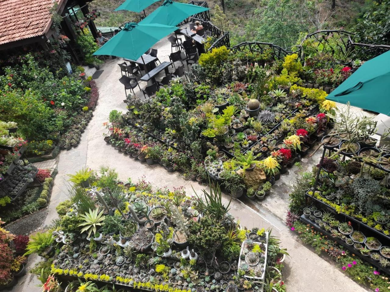 Ella Flower Garden Resort Dış mekan fotoğraf
