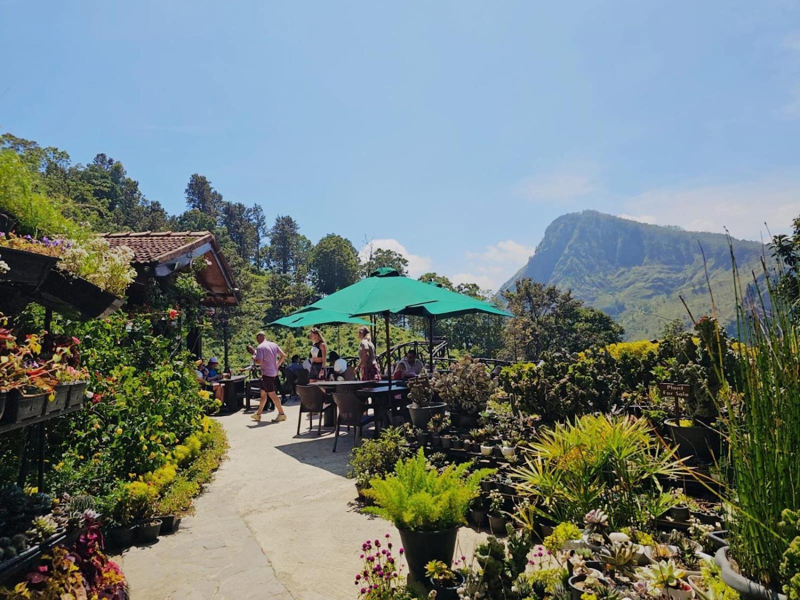 Ella Flower Garden Resort Dış mekan fotoğraf