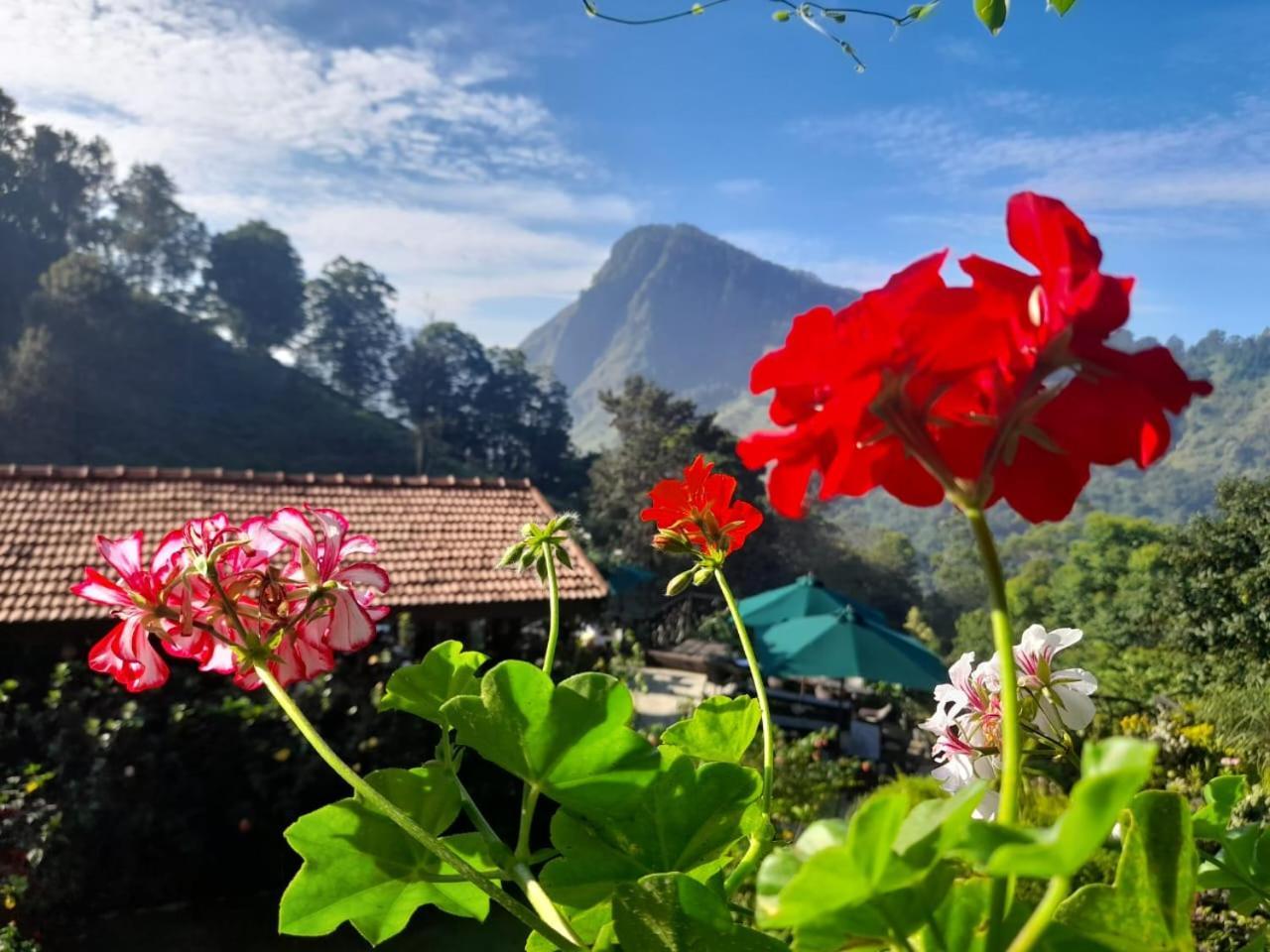 Ella Flower Garden Resort Dış mekan fotoğraf